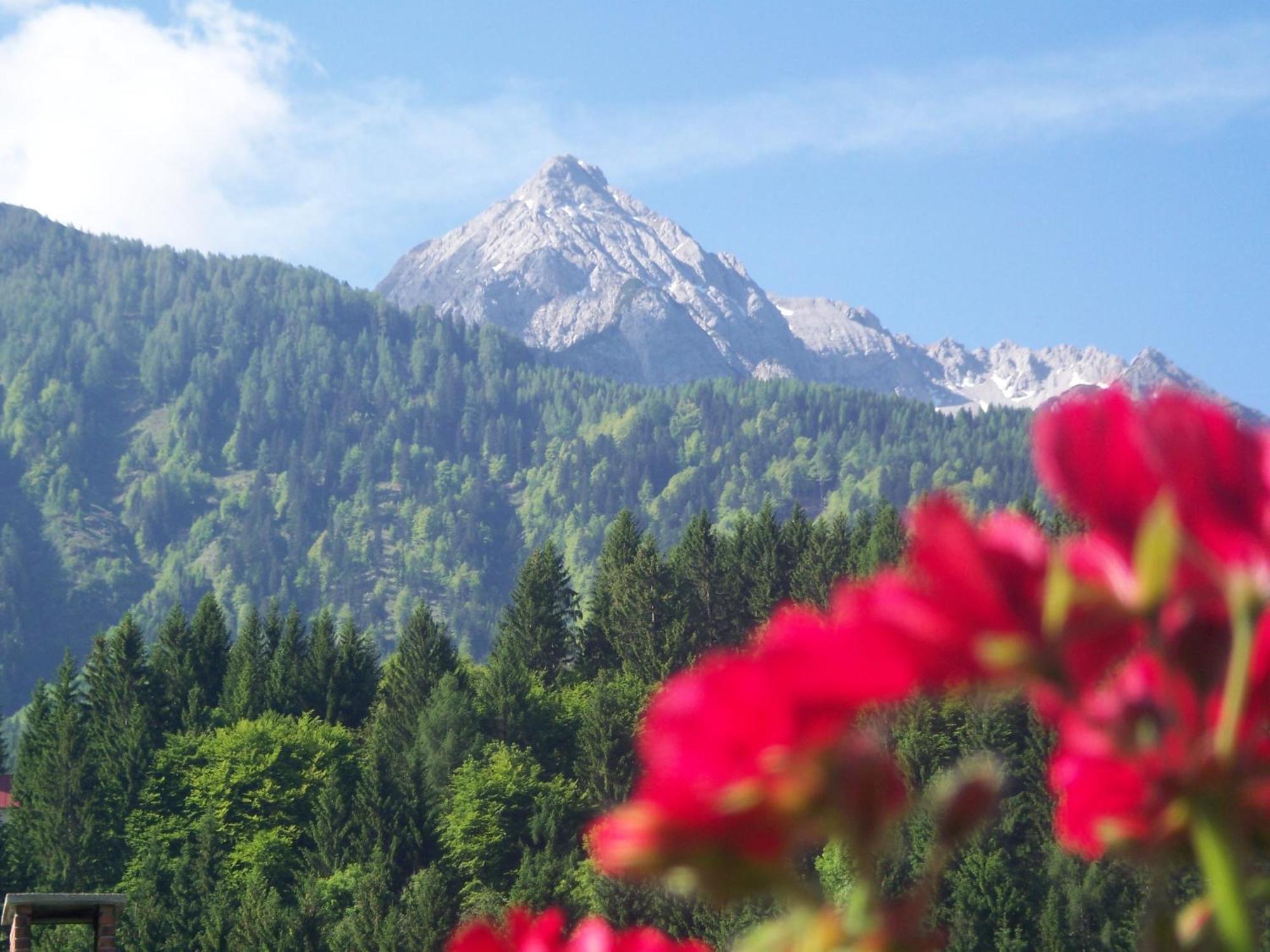 Landhaus Zoppoth Kotschach-Mauthen Dış mekan fotoğraf